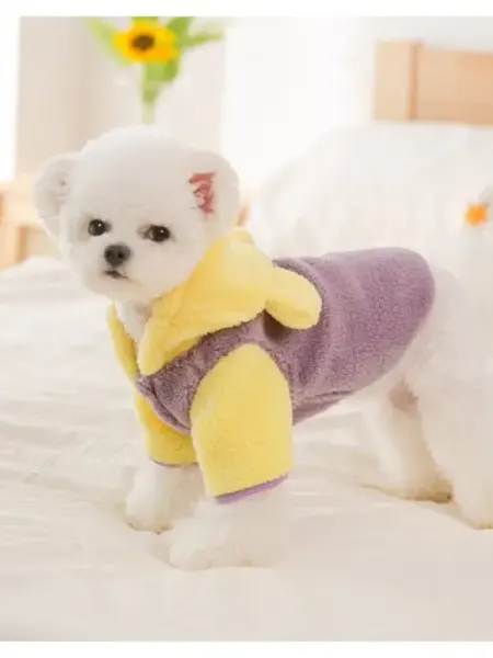 KittyDog Куртка толстовка для собак и кошек