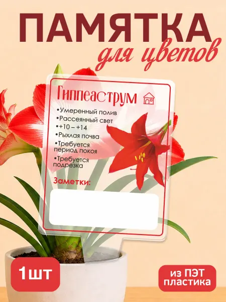 KRASNIKOVA Памятка по уходу за цветами Гиппеаструм