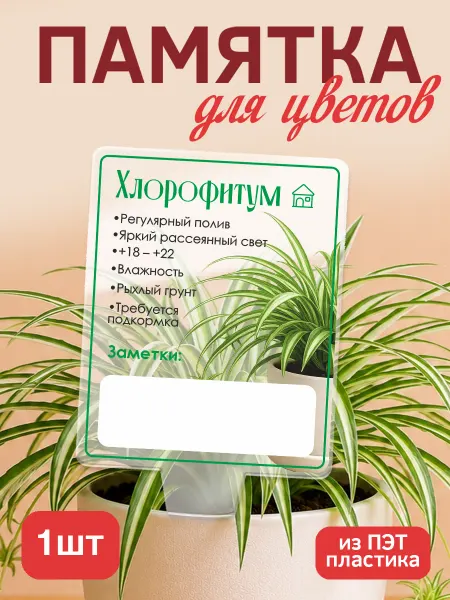 KRASNIKOVA Памятка по уходу за цветами Хлорофитум