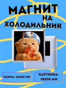 Магнит на холодильник Кот НЛО с пиццей