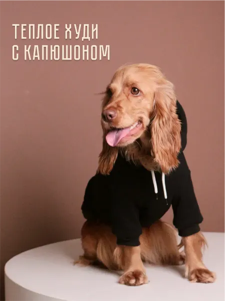 LapLap Одежда для животных кофта для собак