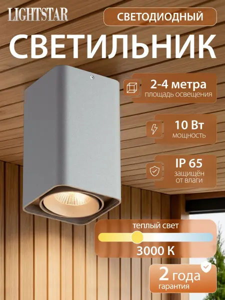 Lightstar Светильник спот потолочный серый Monocco