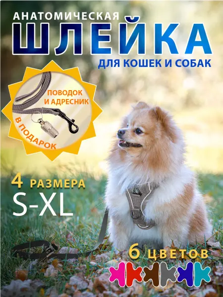 LivrVob Шлейка для собак кошек средних и мелких пород с поводком