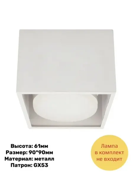 RSS LTD Спот светильник потолочный