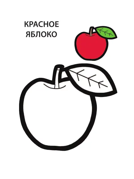 Эксмо Разные цвета. Первые раскраски для малышей