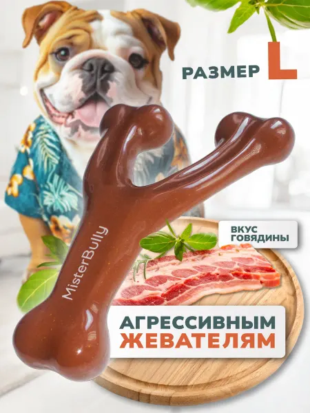 MisterBully Игрушка кость для собак средних пород прочная