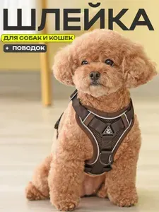Шлейка для собак мелких и средних пород