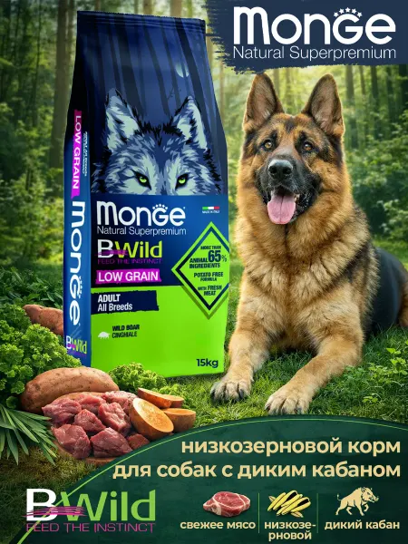 MONGE Корм для взрослых собак с мясом дикого кабана 15кг