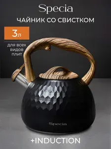 Чайник со свистком, для плиты из нержавеющей стали, 3 л
