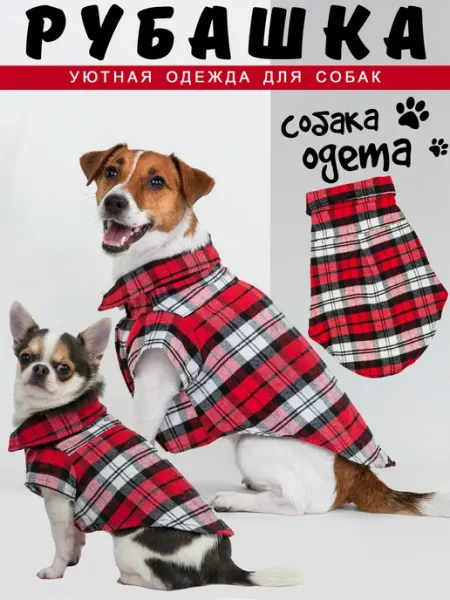 Собака Одета Одежда для собак рубашка