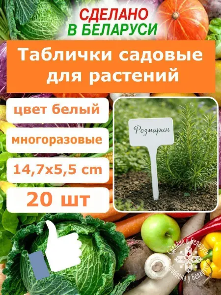 Парник для рассады Таблички садовые для растений