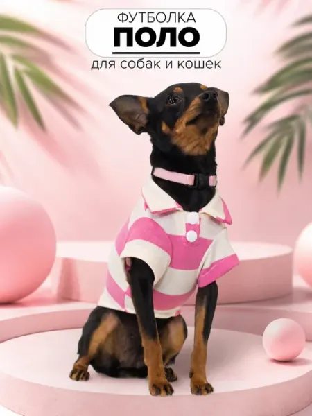 Petleader Футболка поло для собак и кошек