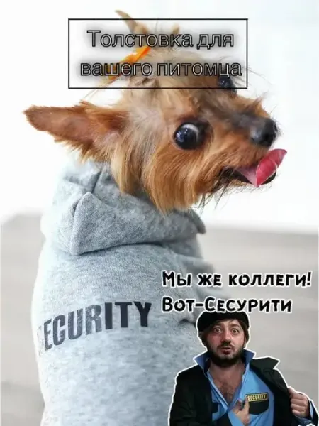 АлисикуS Одежда для собак свитер кофта толстовка