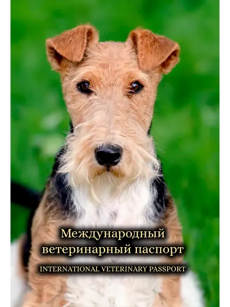 StarHoll Международный ветеринарный паспорт ветпаспорт фокстерьер