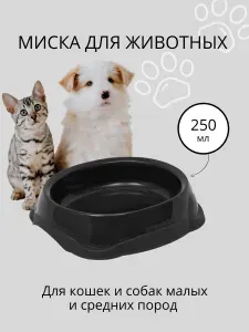 Миска для кошек, для собак DD Style / Пластиковая миска для воды и корма, черный, 250 мл