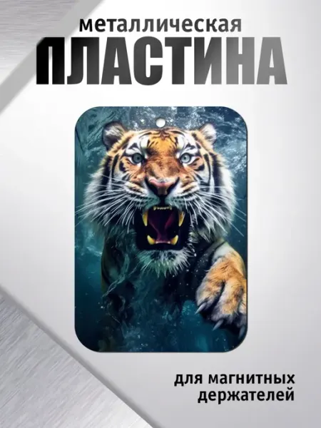 SuperPrint Металлические пластины для магнитных держателей