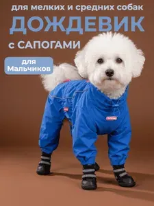 Дождевик с ботинками синий для мальчиков TDSS0124, размер 12