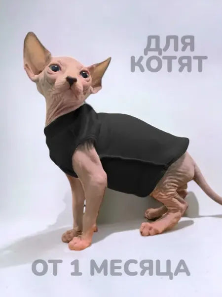 TimkyBone Одежда для котят сфинкс