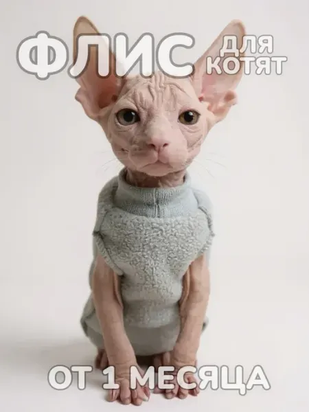 TimkyBone Одежда для котят сфинкс из флиса