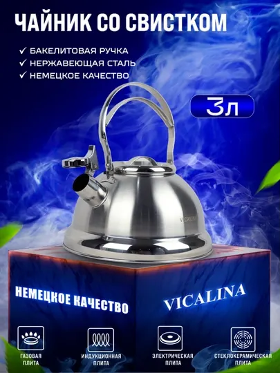 Чайник из нержавеющей стали Vicalina, 3 л