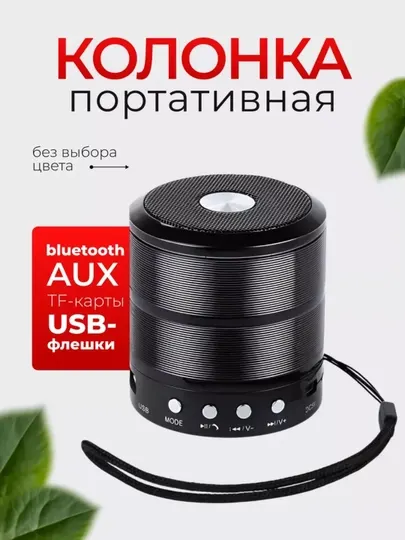 Портативная мини-колонка WS-887, динамики