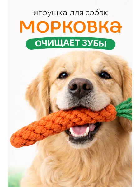 Zoo&You Игрушка для собак Морковка