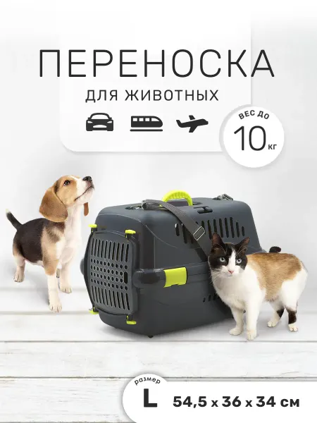 Zooset Пластиковая переноска для кошек и собак мелких пород