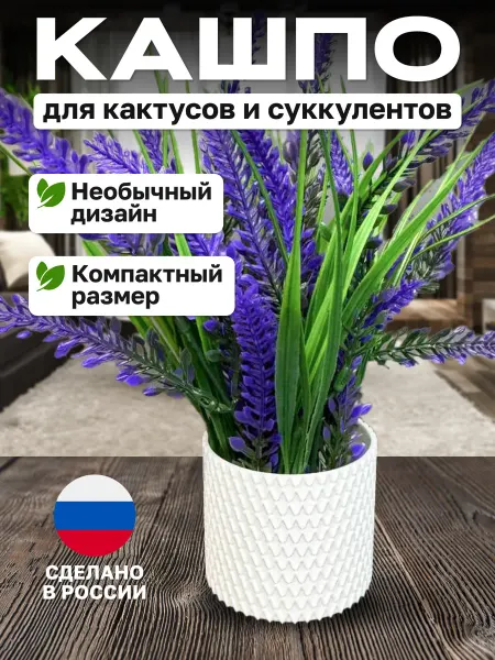 Горшок для цветов кактусов и суккулентов