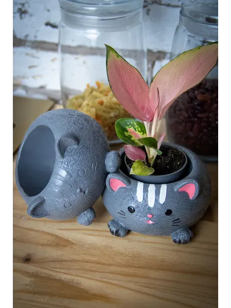 Riart Кашпо Котик