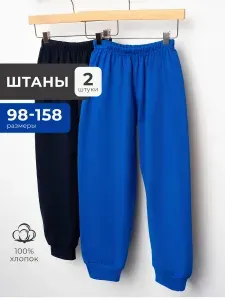 Брюки джоггеры Amoteks