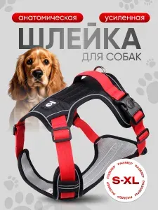 Шлейка анатомическая для собак мелких и средних крупных пород, светоотражающая