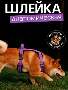 Шлейка анатомическая для собак средних и крупных пород