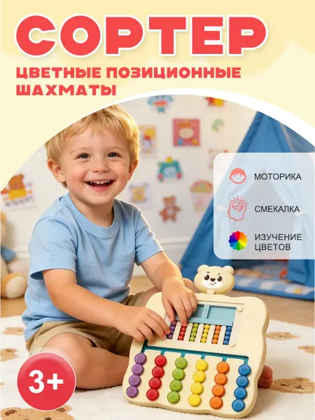 Сортер Монтессори игрушки