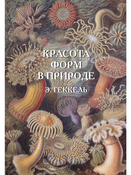 Красота форм в природе. Э. Геккель… книга Андрей Астахов