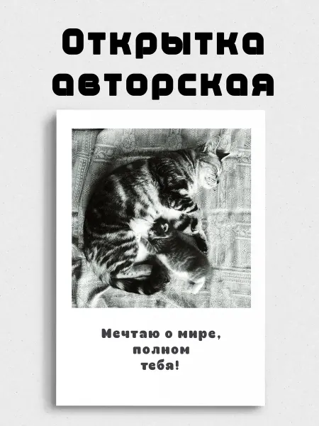 Открытка авторская с кошкой