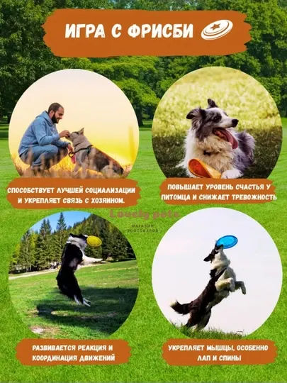 Фрисби игрушка для собак