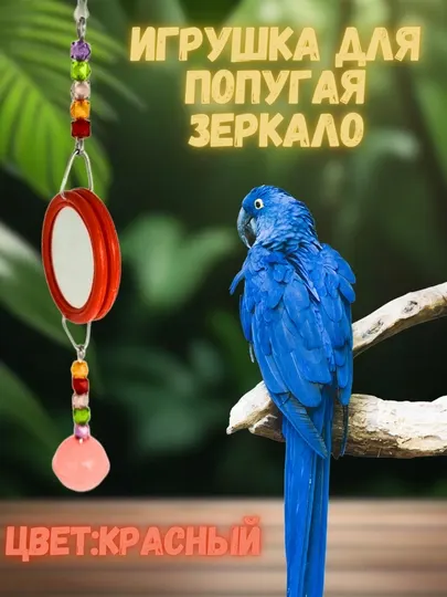 Игрушка для птиц зеркало