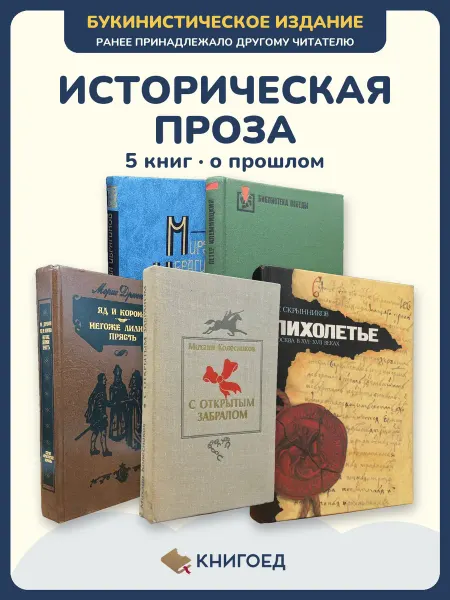 Книгоед исторические романы Ибрагимов Аросева Дрюон Колесников