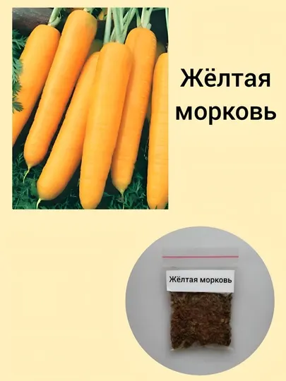Семена моркови
