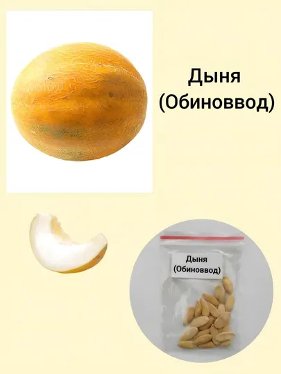 Семена Дыня Обиноввод