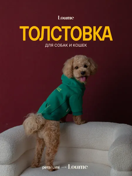 Loume Толстовка для собак