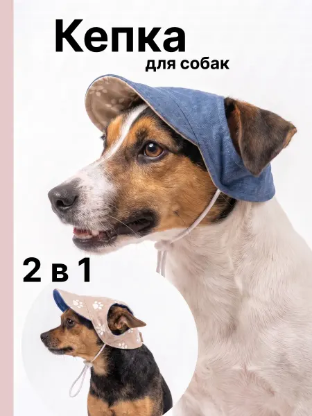 Модные лапки Кепка для собак