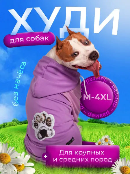 Lexsa_AmStyle Худи для собак
