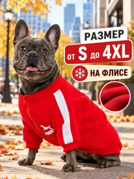 TAOPETS Одежда для собак