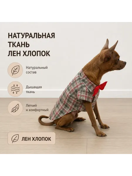 Рубашка для животных