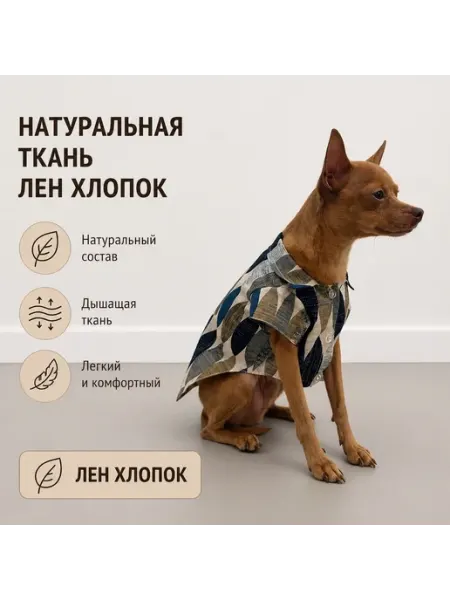 Рубашка для животных