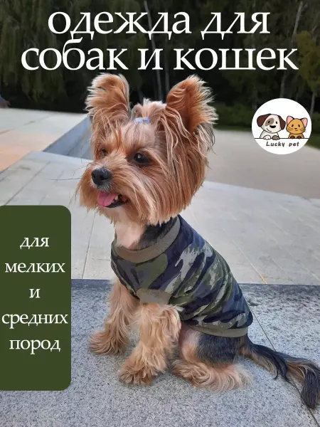 ХозБаза Футболка для животных
