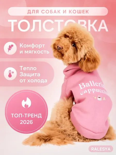 Толстовка для собак и кошек