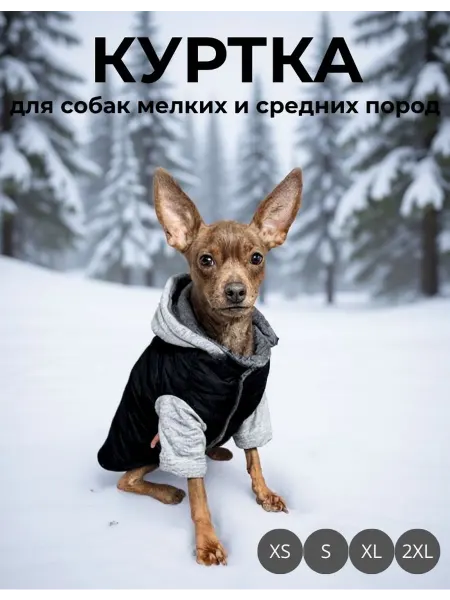 Куртка для собак