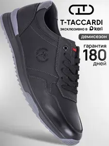 Кроссовки T.TACCARDI Мужские демисезонные